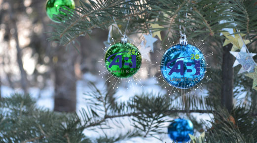 Happy Holidays from ABI